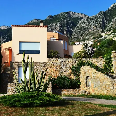 Aloe Meli * קלמאטה