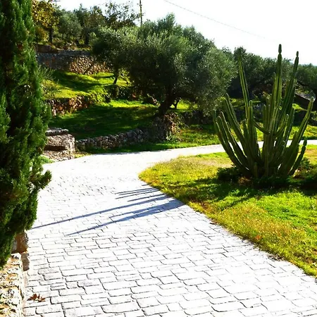 Aloe Meli Daire Kalamata