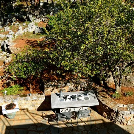 Aloe Meli דירה *