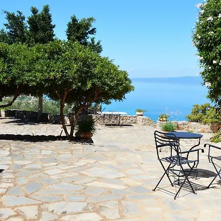 Aloe Meli Καλαμάτα