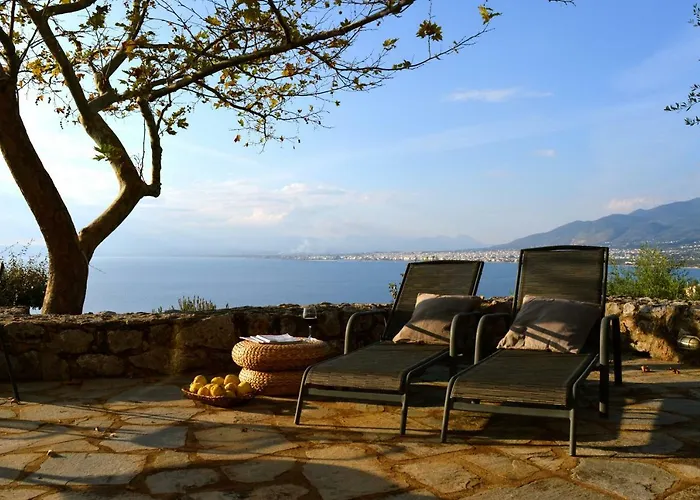 Aloe Meli * 卡拉马塔